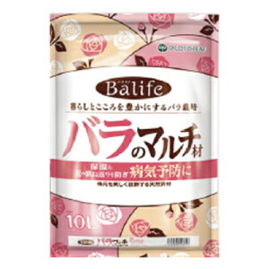 vg[t oCt õ}` 10L x 8 D̒˕ԂhŃo̕aC\h y̕\ʂێ VR ԏ