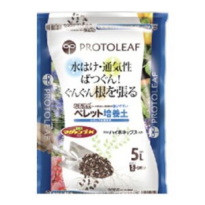 vg[t Ȃٓy ybg|{y 5L x 6 }O@vKƔnC|lbNX2̔엿z r ʋC˔|{y