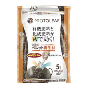 vg[t Ȃٓy ybgĐ 5L x 6 y̍ĐɕKvȐybg }O@vKƔnC|lbNX2̔엿z