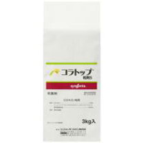 楽天市場】コラトップ ジャンボの通販