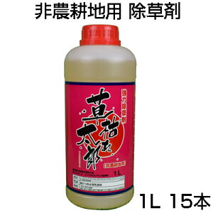  _knp VZC ͂ꑾY 1L 15{ OzT[gC\vsA~41% u_ƂĎgpł܂v