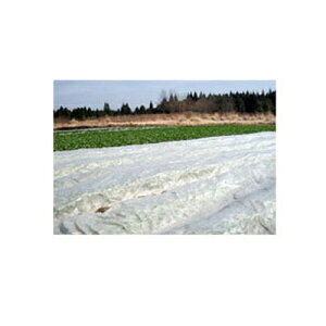 J C^j sDz NEW ACzbJ #18 270cm X 200m ۉ_ƗpsDz 瑣i h h h ׂ gl