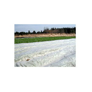 J C^j sDz SUPER ACzbJ #20 240cm X 200m 5{ ۉ_ƗpsDz ۉ h h h 2w\ gl ׂ