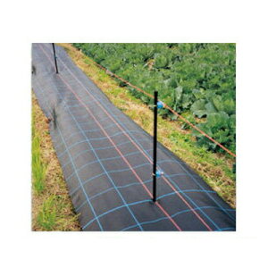 lOK hV[g 2m {ChNX hAOV[g BB1515 2m X 100m  ubN 1{ 200cm όܓ _Ǝ K\[[ zd