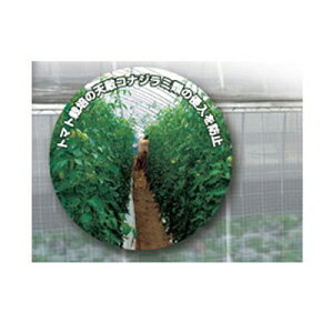 トマト 防虫の人気商品 通販 価格比較 価格 Com