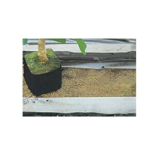 j`J hp sDz uV[g 20701FLV 200cm×100m