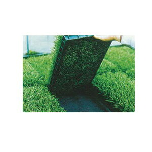 j`J c up sDz uV[g ubN 235cm×100m 2{ 20307BKD