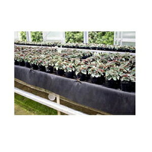 ���j�`�J ��ʊ����p �s�D�z ���u�}�b�gU 200cm×50m LN250GRO