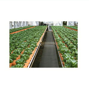 j`J hE~p sDz uV[g ʘH}bg 150cm×100m 21102BVG