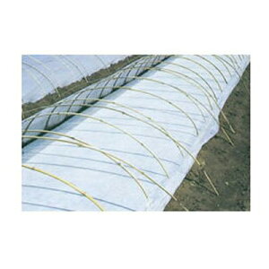 j`J cp sDz uV[g 300cm×50m 5{ 20307WTD