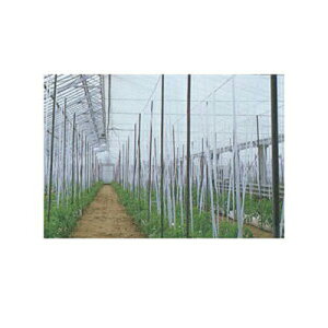 ユニチカ カーテン用 不織布 スーパーラブシートFX 360cm×100m 20557FXZ