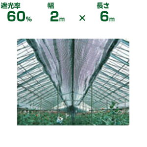 _CI Ռlbg  _CI~[ 810MS Ռ60% 2m×6m (_Ɨp  x_ A   Ԓd v^[  c EbhfbL  | ՔM TVF[h ֎q lQ lM 悯 