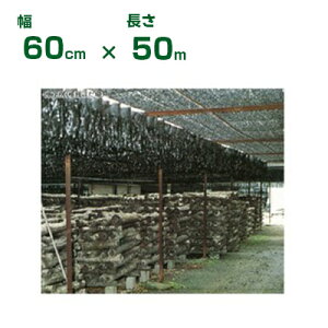 _CI ^ Ռ  _CIt 60cm X 50m (s) (_Ǝ lHق z_ ̂ ő  ct ۈ牀  v[  xe ό_ Ǝ{ M  TV