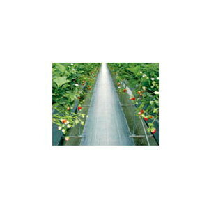 _CI hV[g 75cm Vo[ OhV[g S-BN iRۍܖj 0.75m X 100m _Ǝ |pi ƒ؉ K\[[ zd