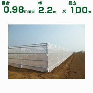 _CI hlbg _CI̓TVC N-2220 ڍ0.98mm 2.2m×100m (s) (_Ɨp |p ƒ؉ K[fjO _Ǝ h lbg gl  rj[nEX  