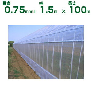 _CI hlbg _CITVC\tg N-2900 ڍ0.75mm 1.5m×100m (s) (_Ɨp |p ƒ؉ K[fjO _Ǝ h lbg gl  rj[nEX 