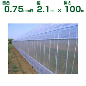 _CI hlbg _CITVC\tg N-2900 ڍ0.75mm 2.1m×100m (s) (_Ɨp |p ƒ؉ K[fjO _Ǝ h lbg gl  rj[nEX 