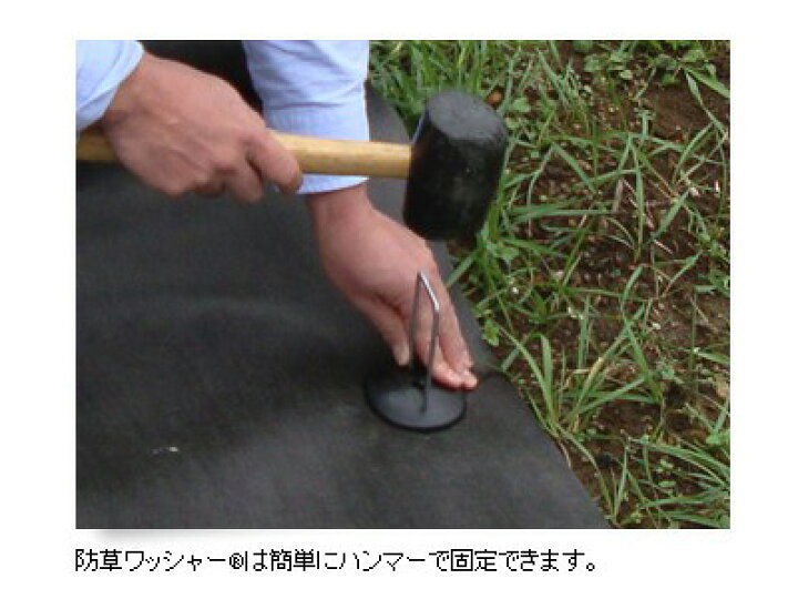 楽天市場】防草シート ザバーン 純正 防草ワッシャー ブラウン 50個入 