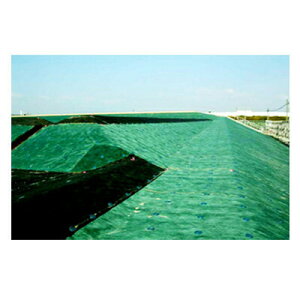 hV[g Uo[ f| +ϋv hV[g Uo[ 350G O[ 2m X 30m 1{ _Ǝ |pi ƒ؉ K[fjO hXP[v 