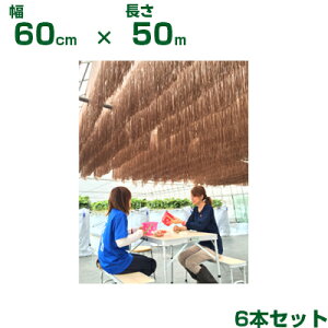 _CI ^ Ռ uE _CIt I[ 60cm X 50m 6{ (s) (_Ǝ lHق z_ ̂ ő  ct ۈ牀  v[  xe ό_ Ǝ{
