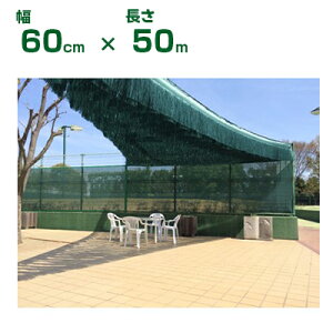 _CI ^ Ռ XO[ _CIt I[ 60cm X 50m (s) (_Ǝ lHق z_ ̂ ő  ct ۈ牀  v[  xe ό_ Ǝ{