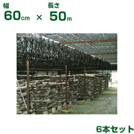 ダイオ化成 懸垂型 遮光資材 黒 ダイオフララ 60cm X 50m 6本 (代引不可) (農業資材 人工ほだ場 ホダ場 きのこ 椎茸 原木 幼稚園 保育園 砂場 プール 公園 休憩所 観光農園 商業施設 熱中症 庭 サンシェード 日よけ)