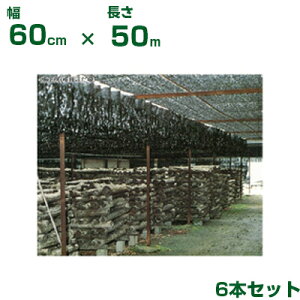 _CI ^ Ռ  _CIt 60cm X 50m 6{ (s) (_Ǝ lHق z_ ̂ ő  ct ۈ牀  v[  xe ό_ Ǝ{ M  T