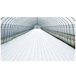 _CI hV[g 1.5m OhV[g  ItzCg  150cm X 100m iRۍܖj 3{ _Ǝ  z ʃpl  nEXʘH