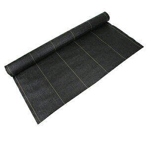 hV[g ZteB-3 xhV[g  1m X 10m _Ǝ |pi ƒ؉ K[fjO ZteB[3 ZteB3 Y