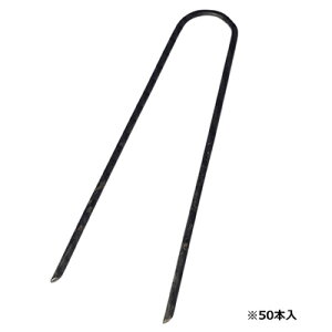 hV[g s ZteB-3 U^s 50P 3.5 X 15cm _Ǝ |pi ƒ؉ K[fjO }` Œs AJ[s ZteB[3 ZteB3 Y