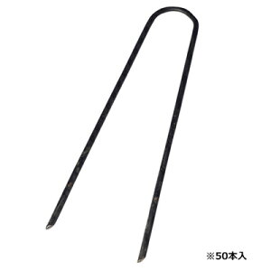 hV[g s ZteB-3 U^s 50P 3.5 X 20cm _Ǝ |pi ƒ؉ K[fjO }` Œs AJ[s ZteB[3 ZteB3 Y