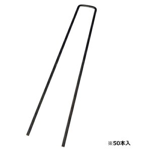 hV[g s ZteB-3 R̎s 50P 3.5 X 15cm _Ǝ |pi ƒ؉ K[fjO }` Œs AJ[s ZteB[3 ZteB3 Y