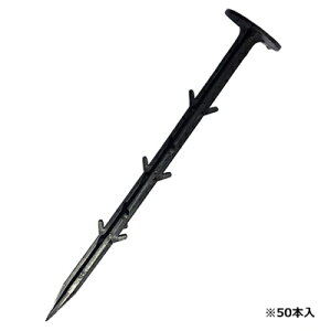 hV[g s ZteB-3 V[g 50P 21cm _Ǝ |pi ƒ؉ K[fjO }` Œs AJ[s ZteB[3 ZteB3 Y