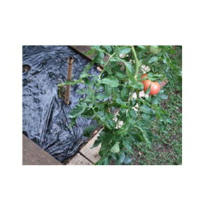 J C^j ؉p }` 0.02mm×135cm×50m _Ǝ |pi ƒ؉