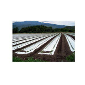 J C^j OwVo[| h}` 0.02mm×150cm×200m 3{