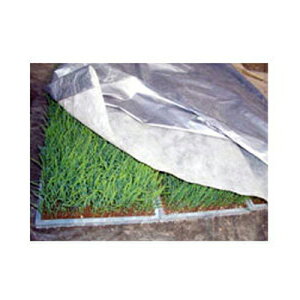 J C^j cpV[g Vo[zbJ 2.7m X 25m 2 pVo[| _ƗpsDz ACzbJ#40 ۉ cĂh~ o Ή