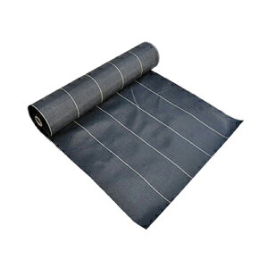 hV[g 1m 2{ όN5Nȏ {}^C  hNXV[g 1m X 50m iHC10584j  ubN _Ǝ ƒ؉ rj[nEX ysz