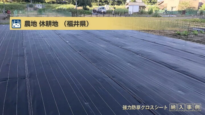 楽天市場】防草シート 1.5m 1本 耐候年数約10年 日本マタイ 強力 防草 