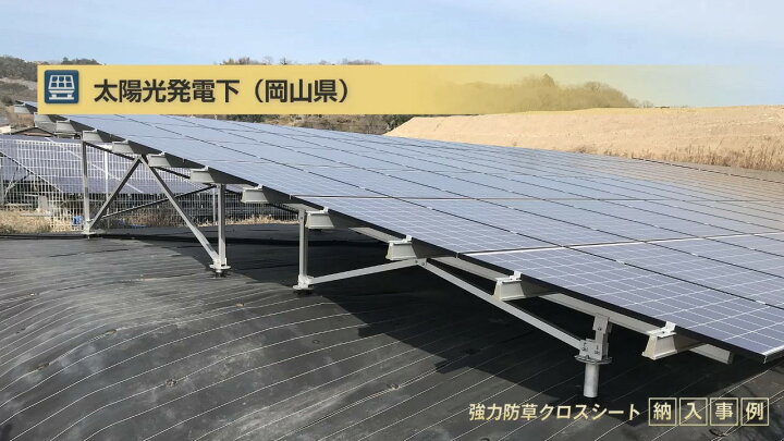 楽天市場】防草シート 1.5m 1本 耐候年数約10年 日本マタイ 強力 防草 