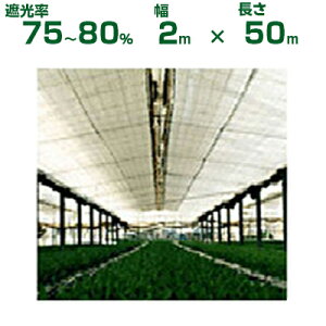 _CI Ռlbg  _CI N[zCg 1220SW Ռ75`80% 2m×50m (s) (_Ɨp A   c A | ՔM TVF[h gl ֎q lQ lM nEX 悯 ~jg}