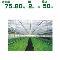 ダイオ化成 遮光ネット 黒 ダイオネット 1210 遮光率75〜80% 2m×50m (代引不可) (農業用 植物 畑 庭 育…
