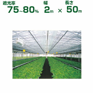 _CI Ռlbg  _CIlbg 1210 Ռ75`80% 2m×50m (s) (_Ɨp A   c A | ՔM TVF[h gl ֎q lQ lM nEX 悯 ~jg}g ݂傤