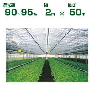 _CI Ռlbg  _CIlbg 1220 Ռ90`95% 2m×50m (s) (_Ɨp A   c A | ՔM TVF[h gl ֎q lQ lM nEX 悯 ~jg}g ݂傤