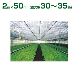 ダイオ化成 遮光ネット シルバーグレイ ダイオネット 410SG（遮光率30～35%） 2m×50m(農業用)(園芸用)(代引不可)