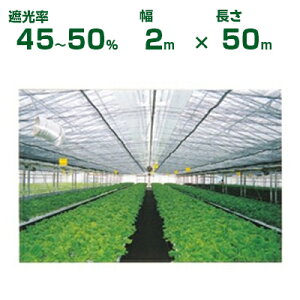 _CI Ռlbg  _CIlbg 610 Ռ45`50% 2m×50m (s) (_Ɨp A   c A | ՔM TVF[h gl ֎q lQ lM nEX 悯 ~jg}g ݂傤 