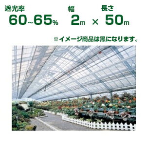 _CI Ռlbg  _CIbZ 1600 Ռ60`65% 2m×50m (s) (_Ɨp A   c A | ՔM TVF[h gl ֎q lQ lM nEX 悯 ~jg}g ݂傤