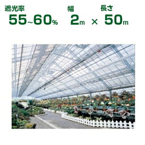 _CI Ռlbg Vo[OC _CIbZ 1600SG Ռ55`60% 2m×50m (s) (_Ɨp A   c A | ՔM TVF[h gl ֎q lQ lM nEX 悯 ~