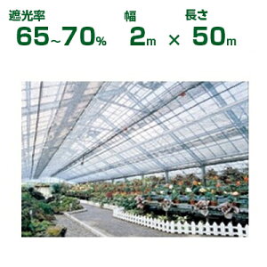 _CI Ռlbg Vo[OC _CIbZ 1700SG Ռ65`70% 2m×50m (s) (_Ɨp A   c A | ՔM TVF[h gl ֎q lQ lM nEX 悯 ~