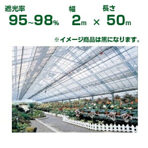 _CI Ռlbg  _CIbZ 2200 Ռ95`98% 2m×50m (s) (_Ɨp A   c A | ՔM TVF[h gl ֎q lQ lM nEX 悯 ~jg}g ݂傤