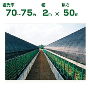 ダイオ化成 遮光ネット 黒 ダイオシート 10号 遮光率70〜75% 2m×50m (代引不可) (農業用 植物 畑 庭 育苗 植木 園芸 遮熱 サンシェード トンネル 茄子 人参 ネギ ハウス 日よけ ミニトマト みょう